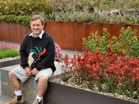 Newsletter #62 – August 2020 – More Trees And Kangaroo Paws Please!