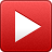 Kangaroo paw cut flower tip video