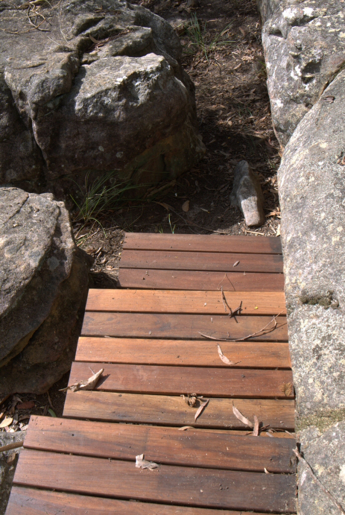 Pathways in Your Native Garden