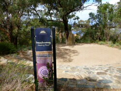 Newsletter #4 July 2014 – Extreme gardening Part 3, Kings Park, new release plants