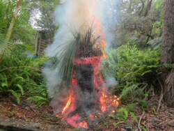 Newsletter #3 June 2014 – Extreme Gardening Part 2