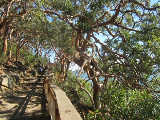 Newsletter #11- January 2015- Out in the bush