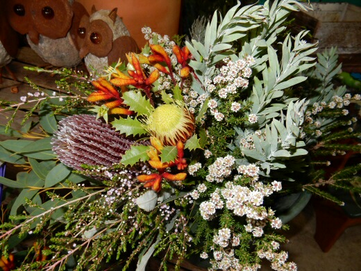 Newsletter #15- May 2015- Australian natives for cut flowers, and happy Mothers Day!